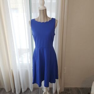 Nicole Miller Flattering A-Line Perriwinkle Dress